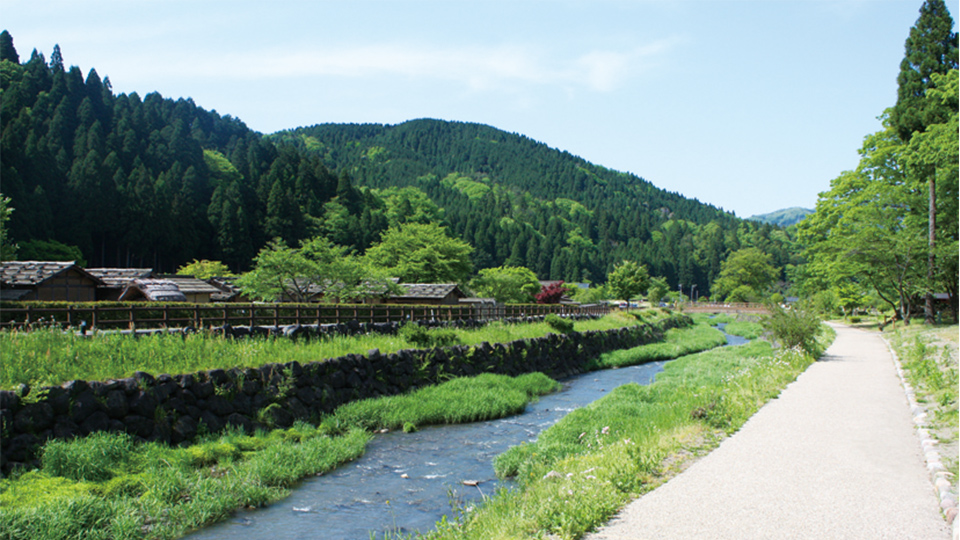 the Ichijodani River