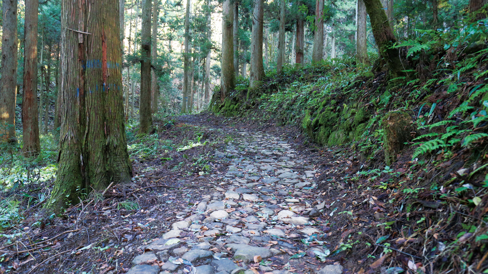 Asakura-kaido Road