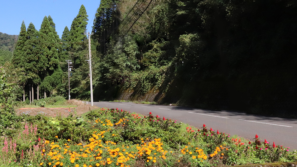 安波贺街道（福井市濑口町）