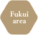 Ichijodani and Fukui city area