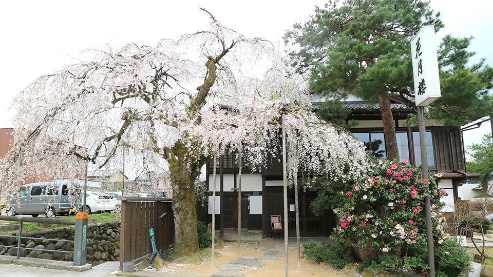 花月樓